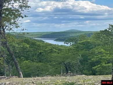 Lake Lot For Sale in Peel, Arkansas