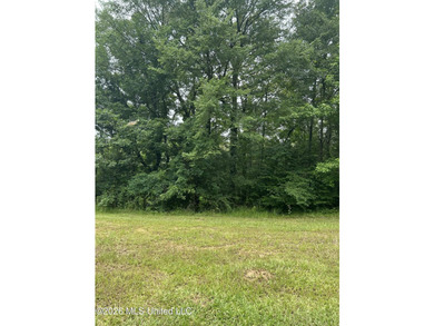 This is the one!!!! With 31 beautiful acres that is partially - photo 14