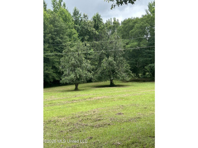 This is the one!!!! With 31 beautiful acres that is partially - photo 15