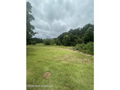 This is the one!!!! With 31 beautiful acres that is partially - photo 27