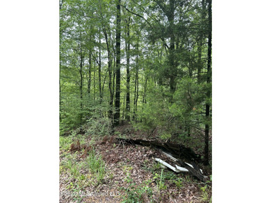 This is the one!!!! With 31 beautiful acres that is partially - photo 39