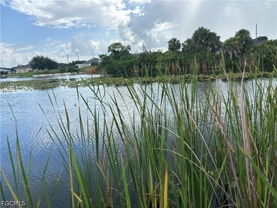 Waterfront residential lot located in north Cape Coral. HUGE - photo 1