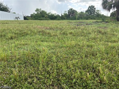 Waterfront residential lot located in north Cape Coral. HUGE - photo 3