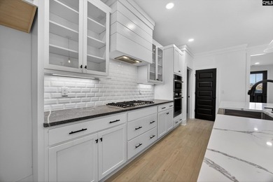 Experience the pinnacle of resort-style living at 2011 Shallow - photo 9