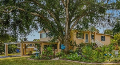 Lake Griffin Home For Sale in Lady Lake Florida