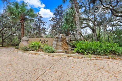 Lake Lot For Sale in Brandon, Florida