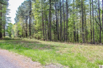 Lake Acreage For Sale in New Concord, Kentucky