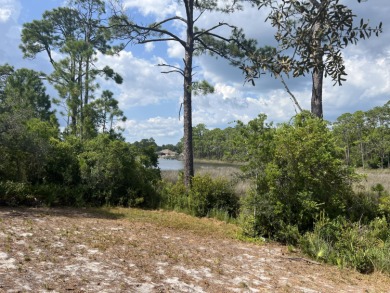 Powell Lake / Phillips Inlet Lot For Sale in Panama City Beach Florida