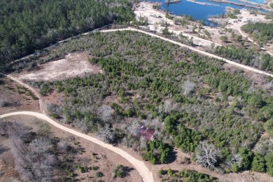 Leaf River - Forrest County Acreage For Sale in Petal Mississippi