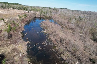 The 196 acre parcel of land located at 226 Blue Lake Road Petal - photo 2