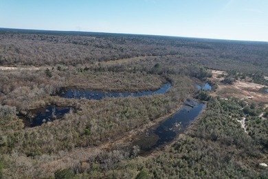 The 196 acre parcel of land located at 226 Blue Lake Road Petal - photo 3