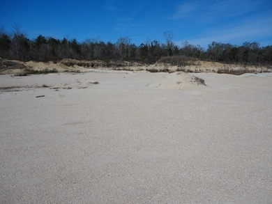 The 196 acre parcel of land located at 226 Blue Lake Road Petal - photo 6