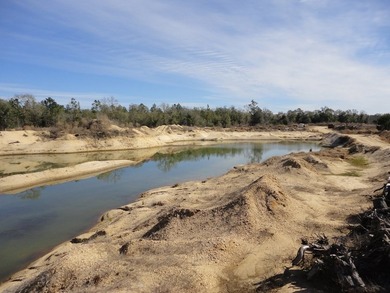The 196 acre parcel of land located at 226 Blue Lake Road Petal - photo 7
