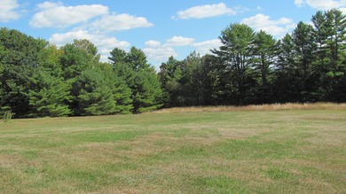 This is for the entire duplex which has 2 bedrooms and 2 baths - photo 4
