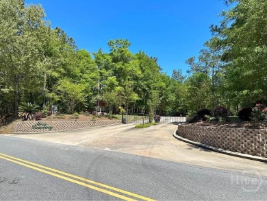 Lake Acreage For Sale in Jesup, Georgia