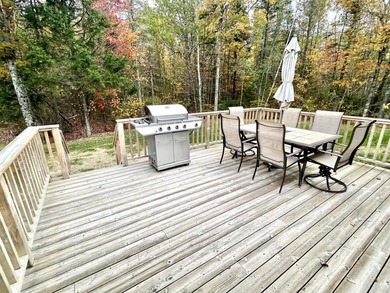 PRICE IMPROVEMENT on this lovely, single level home just 5+ - photo 10