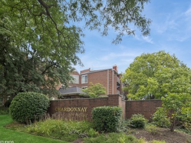 Lake Home For Sale in Elk Grove Village, Illinois