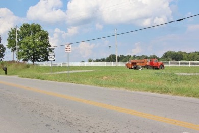 WOW! THINK OF THE BUSINESS OPPORTUNITIES FOR THIS PROPERTY ON - Lake Lot For Sale in Scottsville, Kentucky