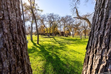 Beautiful waterfront property on the Guadalupe River. This piece - photo 8
