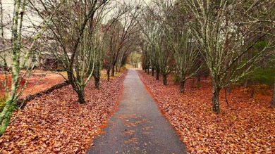 Lake Home For Sale in Chesnee, South Carolina