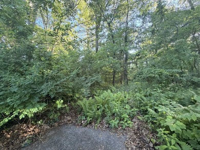 Beautiful wooded lot overlooking the Kalamazoo River and - photo 1