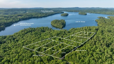 Lake St. George Lot For Sale in Liberty Maine