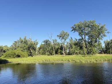 Beautiful wooded lot overlooking the Kalamazoo River and - photo 2