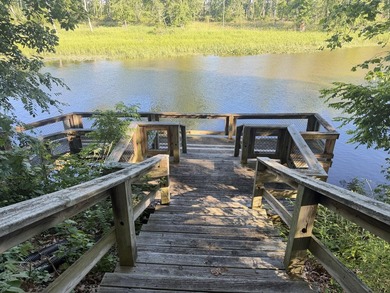 Beautiful wooded lot overlooking the Kalamazoo River and - photo 3