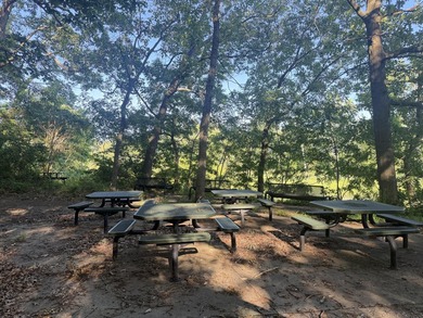 Beautiful wooded lot overlooking the Kalamazoo River and - photo 4