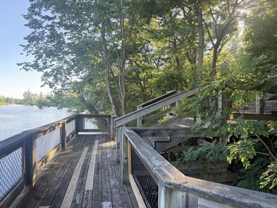 Beautiful wooded lot overlooking the Kalamazoo River and - photo 5