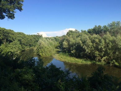 Beautiful wooded lot overlooking the Kalamazoo River and - photo 8