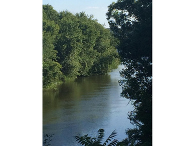 Beautiful wooded lot overlooking the Kalamazoo River and - photo 9