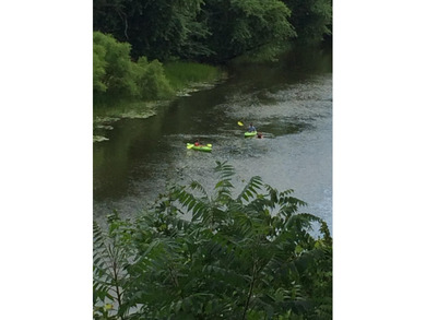 Beautiful wooded lot overlooking the Kalamazoo River and - photo 10