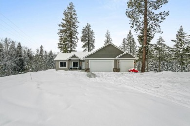 Lake Pend Oreille Home For Sale in Careywood Idaho