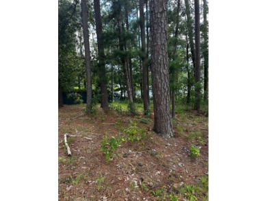 Lake Greenwood Lot For Sale in Ninety Six South Carolina