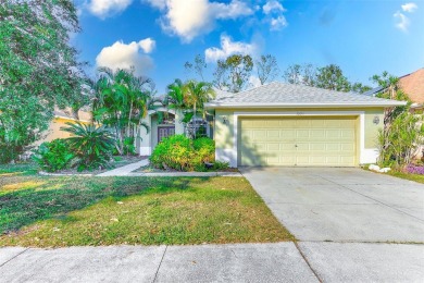 Lake Home For Sale in Riverview, Florida