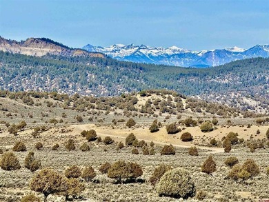 (private lake, pond, creek) Acreage For Sale in Pagosa Springs Colorado