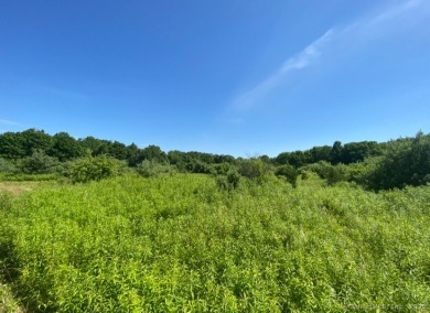 Lake Acreage For Sale in Columbia, Connecticut