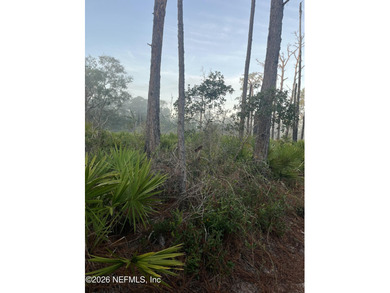 Crescent Lake - Putnam County Lot For Sale in Crescent City Florida