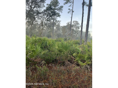 Crescent Lake - Putnam County Lot For Sale in Crescent City Florida