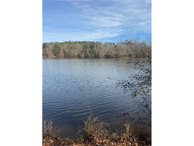 Lake Bowen Lot For Sale in Inman South Carolina
