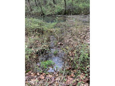 This beautiful heavily wooded pristine acreage is untouched & - photo 2