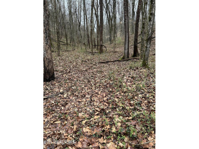 This beautiful heavily wooded pristine acreage is untouched & - photo 3