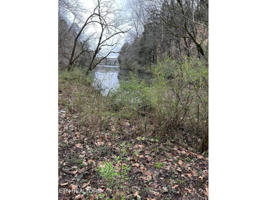 This beautiful heavily wooded pristine acreage is untouched & - photo 4