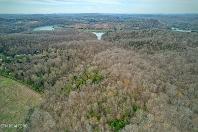 This beautiful heavily wooded pristine acreage is untouched & - photo 5