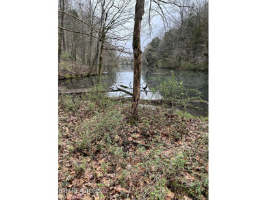 This beautiful heavily wooded pristine acreage is untouched & - photo 6