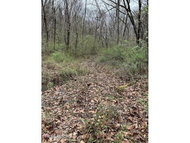 This beautiful heavily wooded pristine acreage is untouched & - photo 7