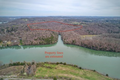 This beautiful heavily wooded pristine acreage is untouched & - photo 8