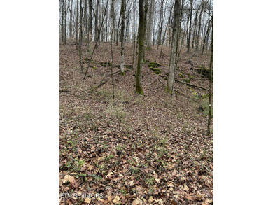 This beautiful heavily wooded pristine acreage is untouched & - photo 9