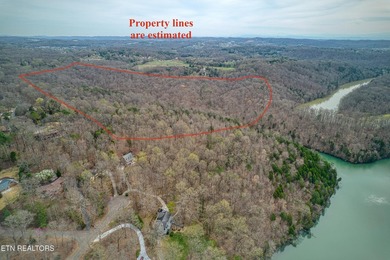 This beautiful heavily wooded pristine acreage is untouched & - photo 10